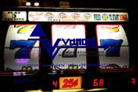  id.4081363