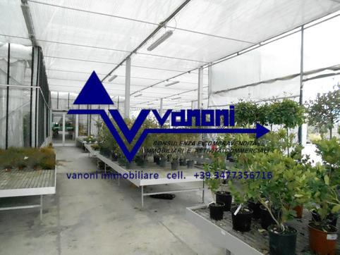  id.5111895