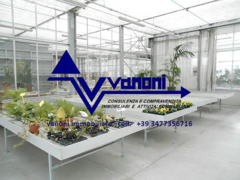  id.5111880