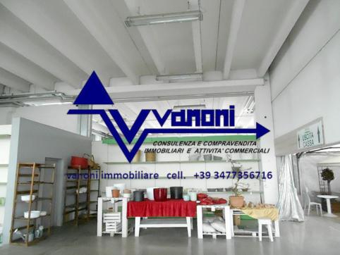  id.5111878
