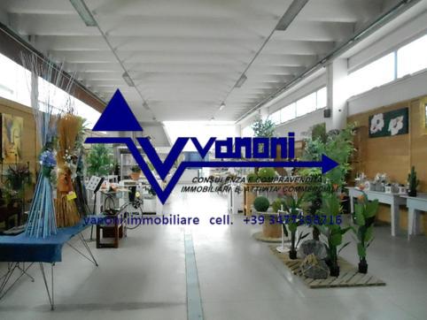  id.5111879