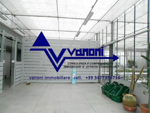  id.5111870