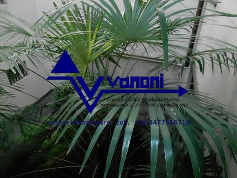  id.5119108