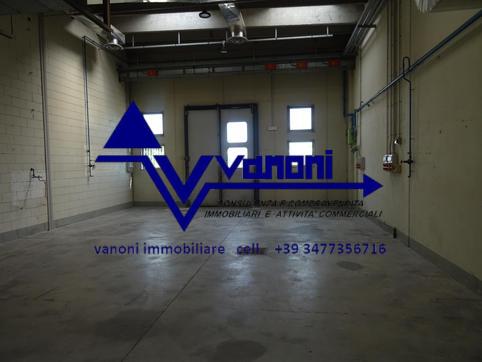  id.5302565