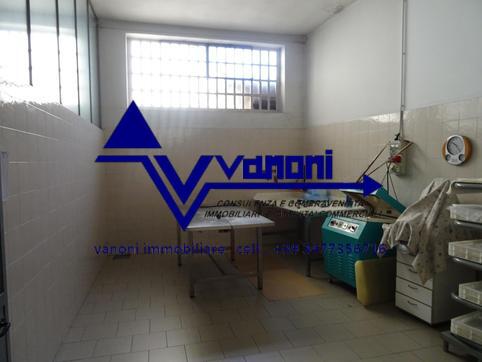  id.5306818