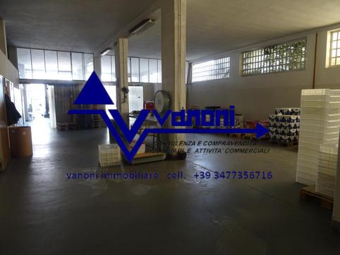  id.5306817