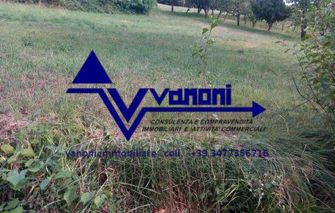  id.5307977