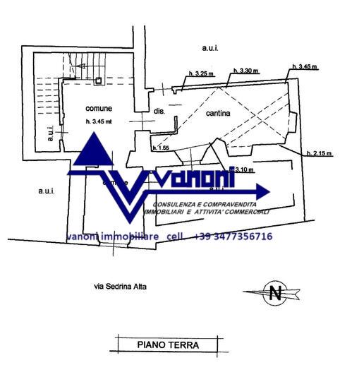 id.5308274