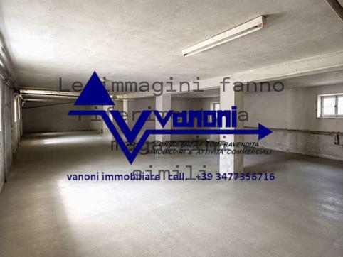  id.5308501