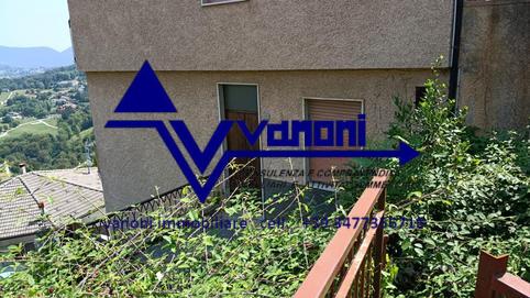  id.5308626
