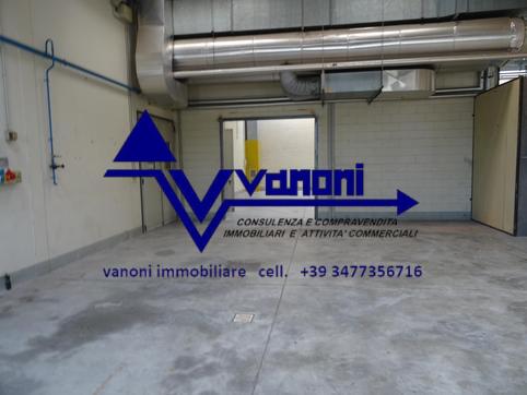  id.5310689