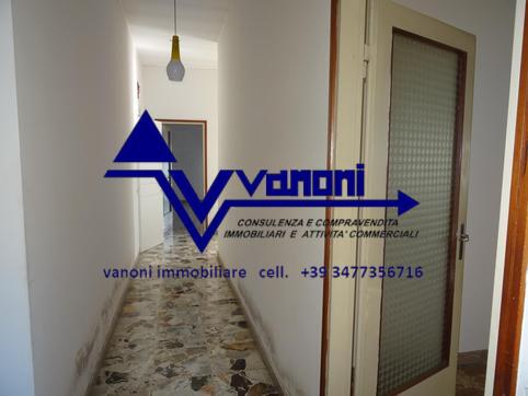  id.5313061