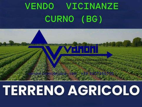  id.5314126